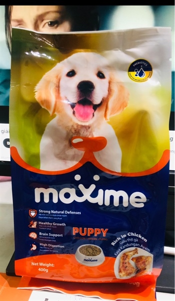 MAXIME PUPY 400G 1108/75
