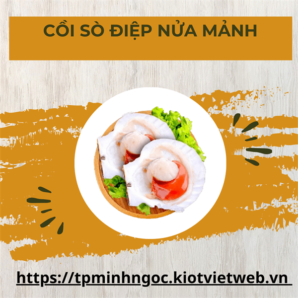 Cồi sò điệp nửa mảnh 10/12