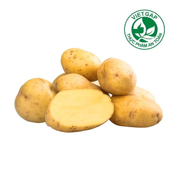 Khoai tây (Túi 450-550 g)