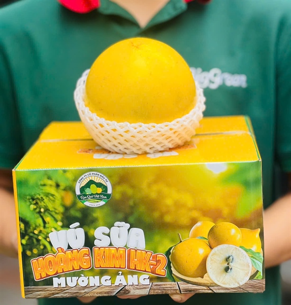 Vú Sữa Hoàng Kim Mường Ảng