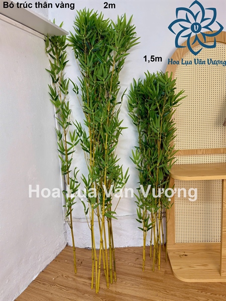 Bó trúc thân vàng 2m - Cây - Hoa Lụa Vân Vượng