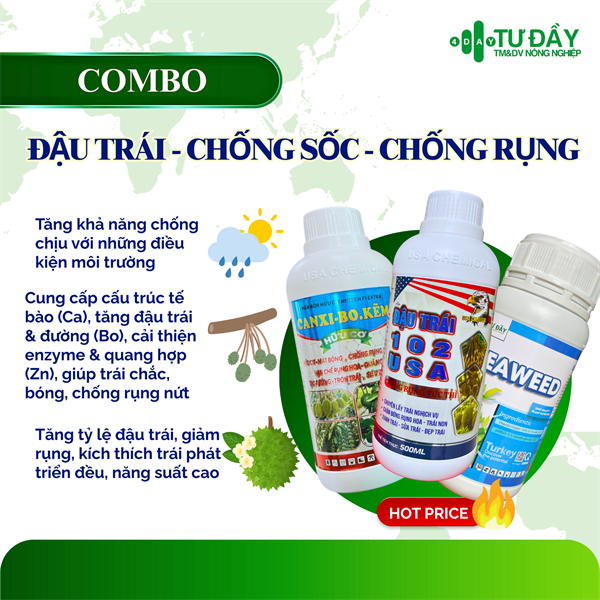 COMBO ĐẬU TRÁI - CHỐNG SỐC - CHỐNG RỤNG
