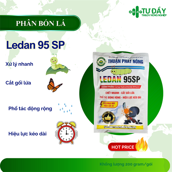 LEDAN 95SP-100gr