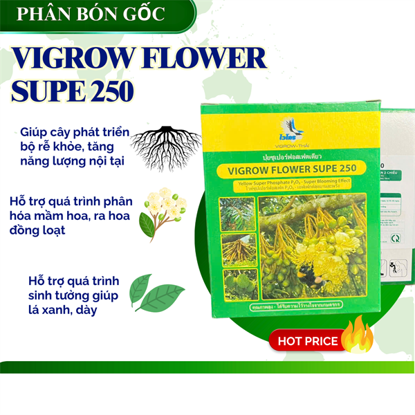 Lân hộp 250 gram
