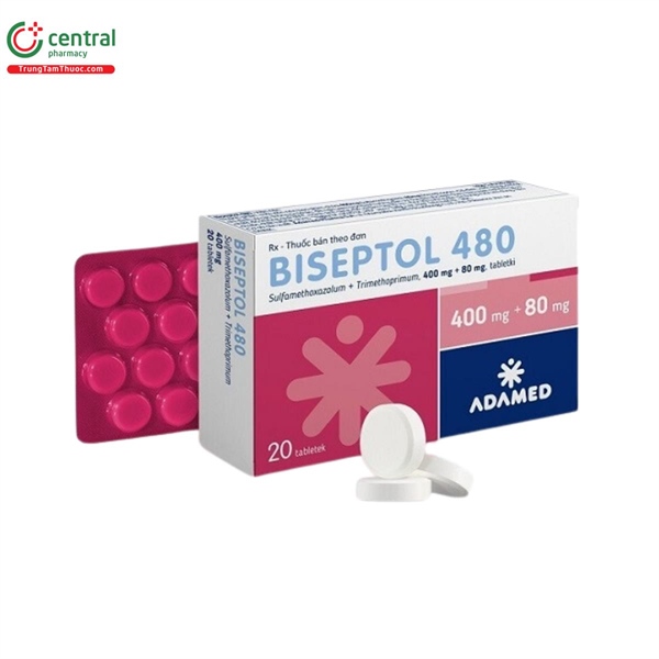 BISEPTOL 480 - Ba Lan, Hộp /20 viên