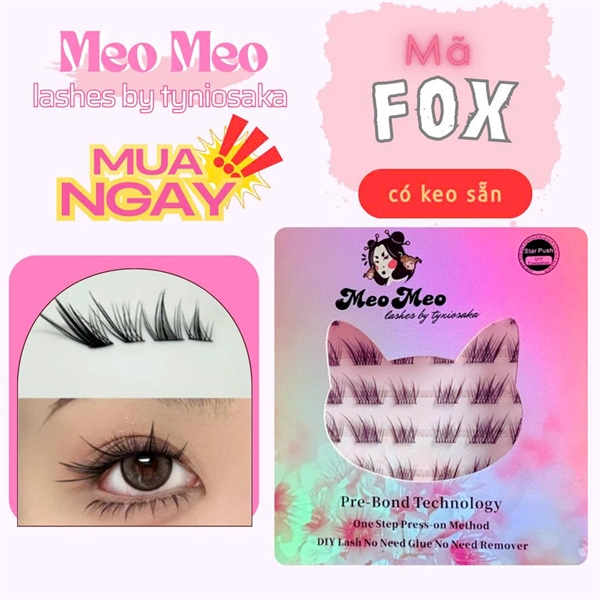 Dòng Fox CH - Meomeo_Lashesbytyniosaka