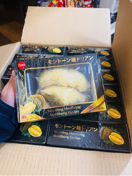 SẦU RIÊNG MONTHONG/モントーン種ドリアン