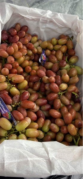Nho Kẹo Vải 1T Kg