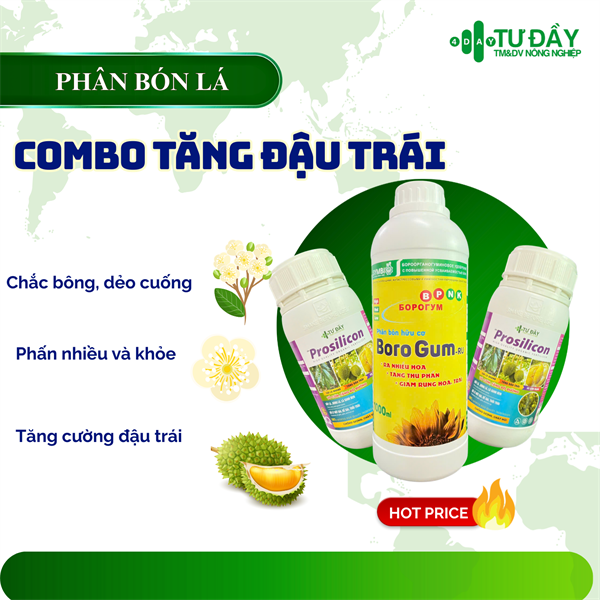 COMBO TĂNG ĐẬU TRÁI - DẺO CUỐNG (1 Borogum 1L + 2 prosilicon)