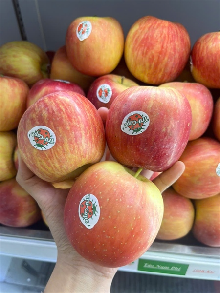 Táo Nam Phi ( túi 9 trái )