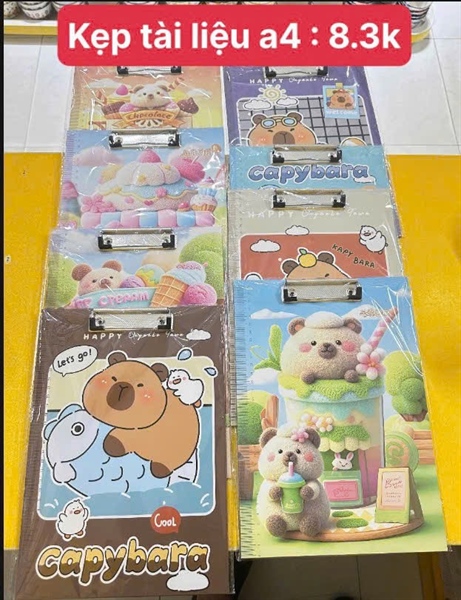 Kẹp tài liệu a4