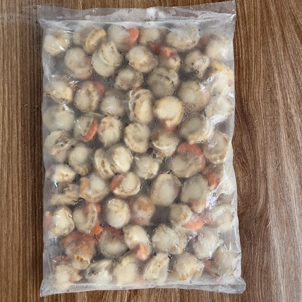 Còi sò điệp hấp size 60-80