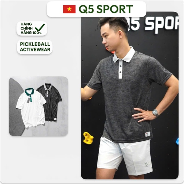 POLO Q5 PHỐI MÀU CỔ