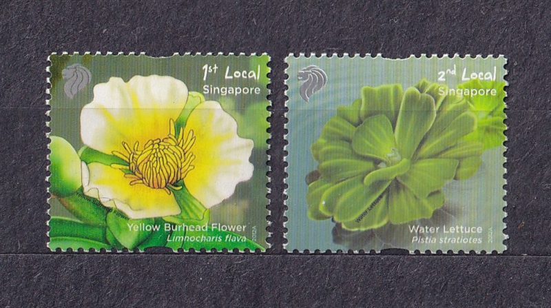 [ORDER - KHÔNG CÓ SẴN] Bộ 2 Tem Hoa Singapore | Singapore - Definitive Pond Life Dragonfly Flower 2012 (2) | Mint