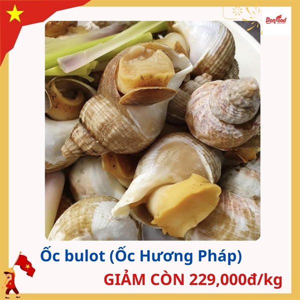 COMBO TẾT - Ốc bulot Pháp