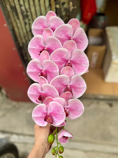 Hồ điệp cao su 10b xịn - hồng - Hồ điệp, lan - Hoa Lụa Vân Vượng