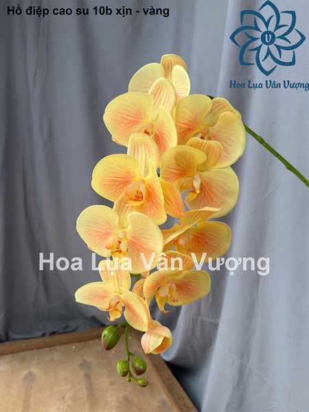 Hồ điệp cao su 10b xịn - vàng - Hồ điệp, lan - Hoa Lụa Vân Vượng