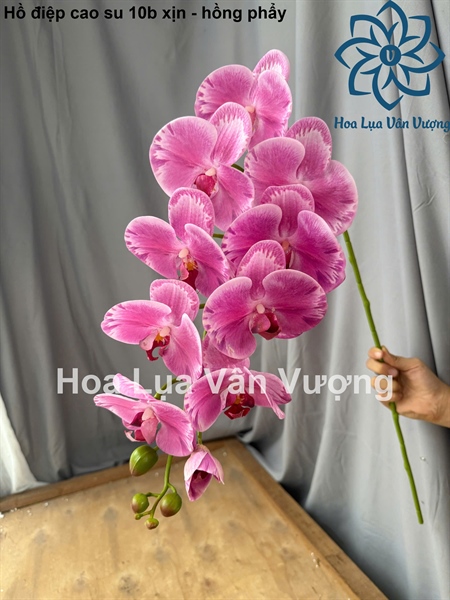 Hồ điệp cao su 10b xịn - hồng phẩy - Hồ điệp, lan - Hoa Lụa Vân Vượng