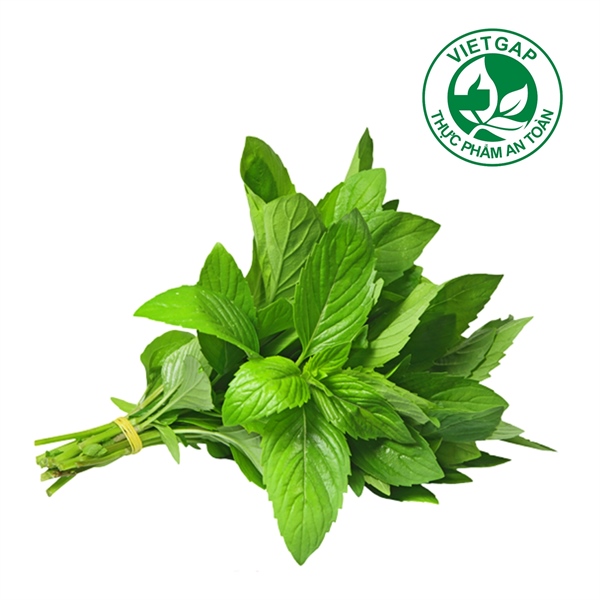 Húng cây VietGAP (Gói 100 g)