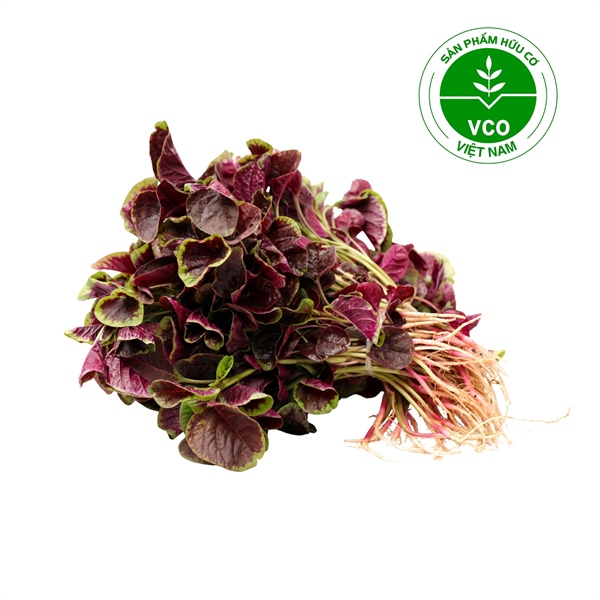 Rau dền Lam baby Hữu cơ (Gói 250 g)