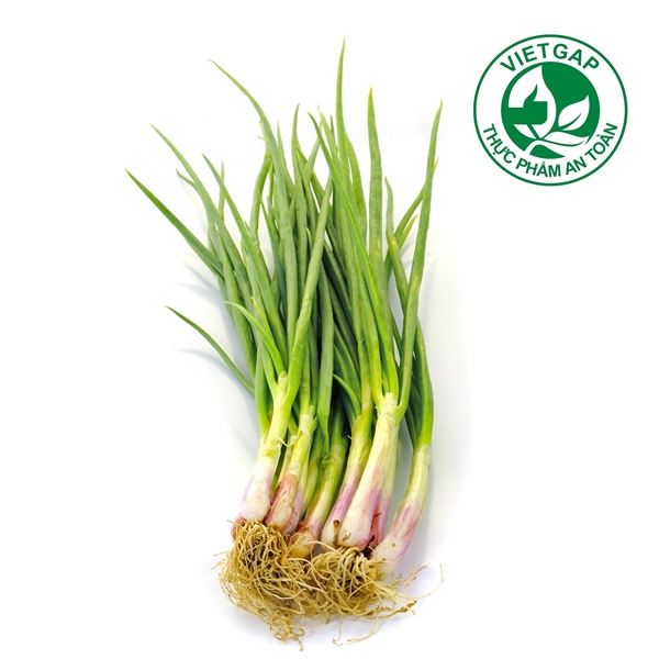 Hành lá VietGAP (Gói 100 g)