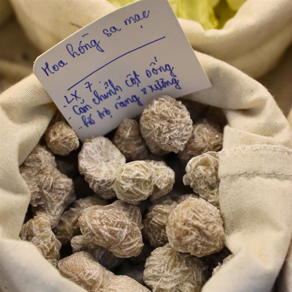 Hoa Hồng Sa Mạc