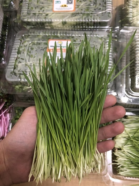 Lá hẹ tươi (100g)