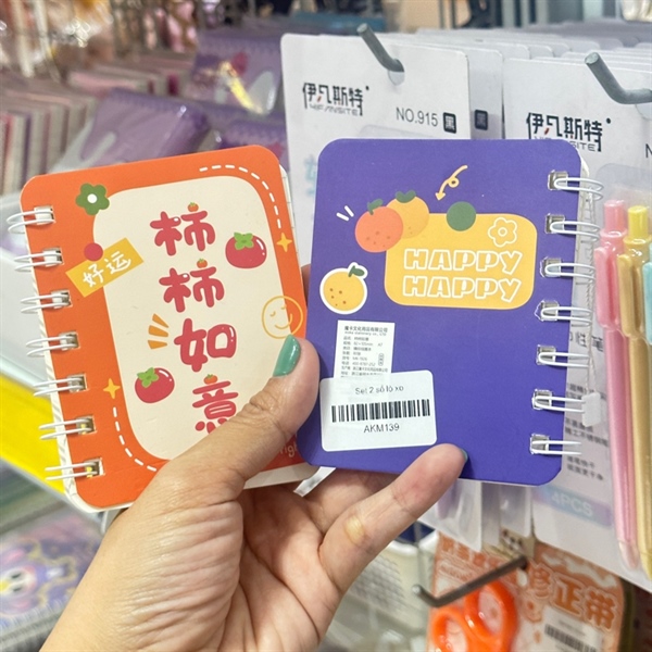 Set 2 sổ lò xo