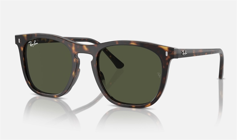 Ray-Ban 0RB2210F 902/31