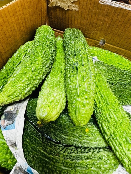 MƯỚP ĐẮNG/ゴーヤ