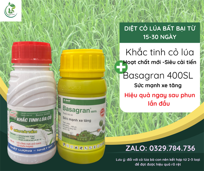 Combo Cỏ Lúa 1: Khắc tinh lúa cỏ x Basagan
