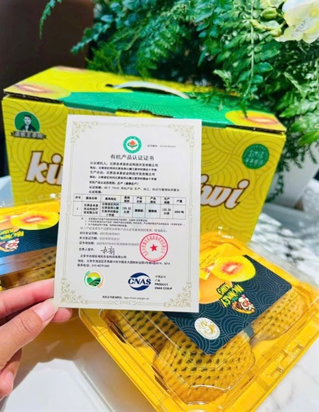 Kiwi Đỏ XK Đài Loan