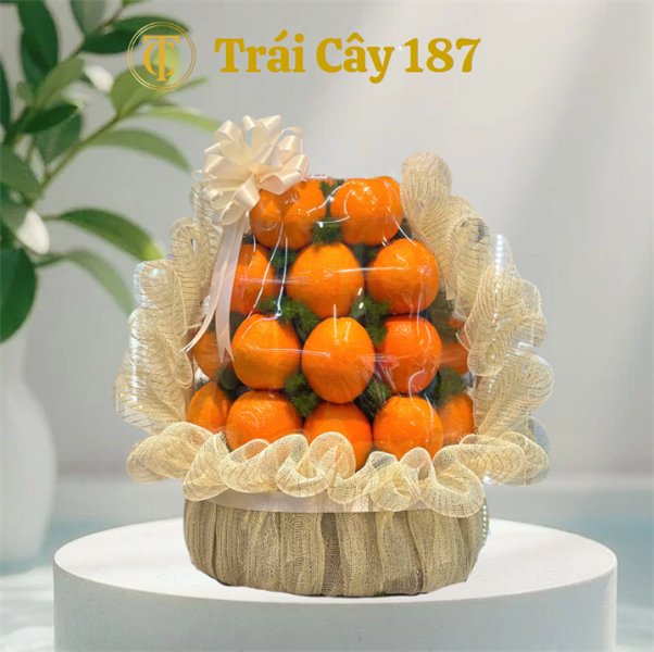 Giỏ Trái Cây Nhập Khẩu Full Cam
