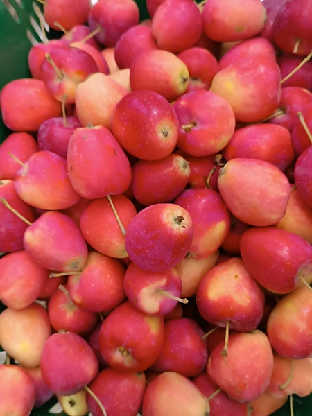 Táo Cherry 1kg 2r