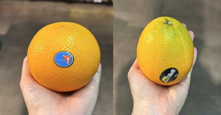 Cam Nam Phi - Orange