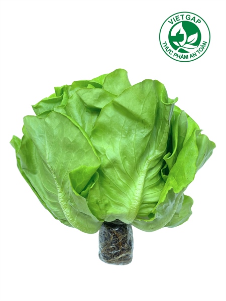 Xà lách Mỡ (Gói 150-170 g)