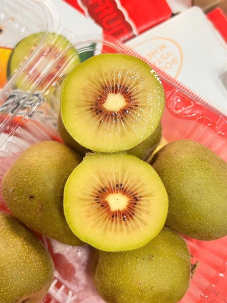 Kiwi Đỏ