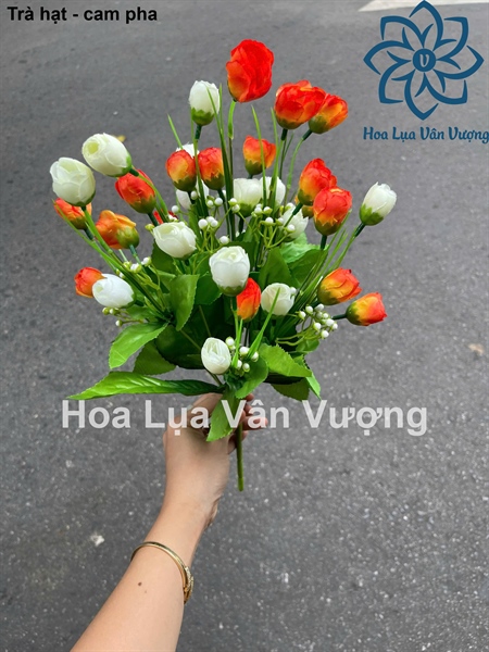 Trà hạt - cam pha - Hoa cành ngắn - Hoa Lụa Vân Vượng