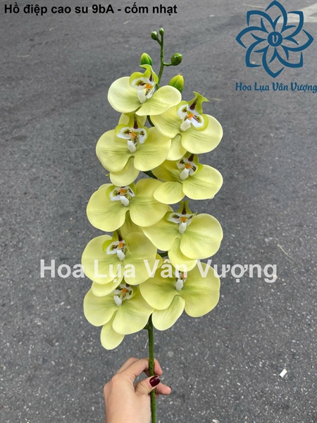 Hồ điệp cao su 9b A - Hồ điệp, lan - Hoa Lụa Vân Vượng