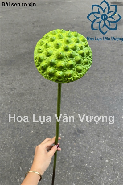 Đài sen to xịn - Sen - Hoa Lụa Vân Vượng