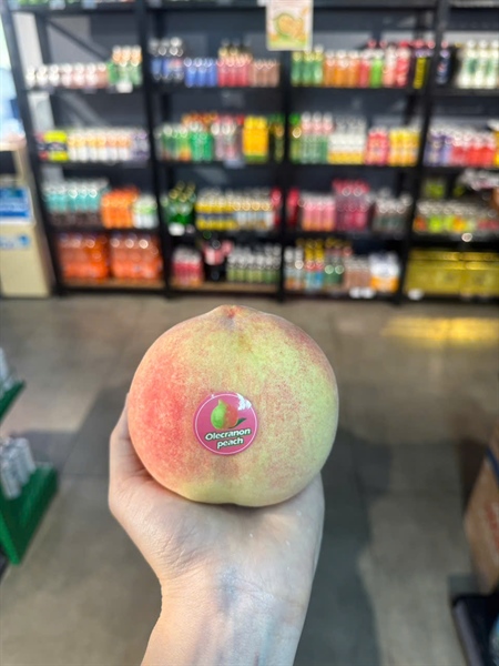Đào tuyết Lệ Giang - Peach