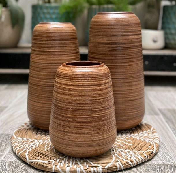 BÌNH ĐU ĐỦ GANH NÂU S3