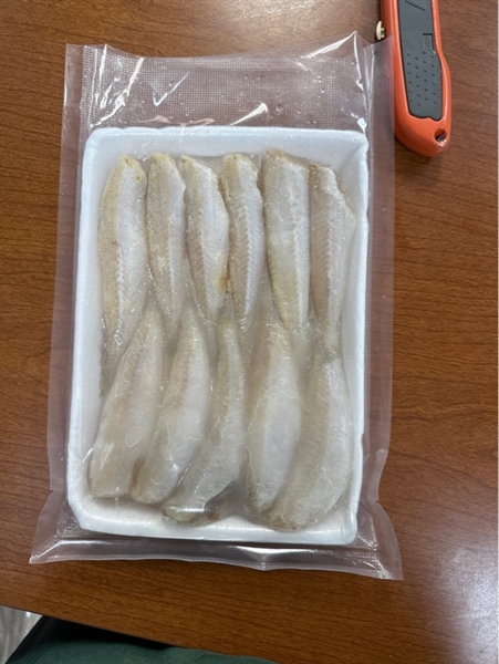 Cá Bống Đục