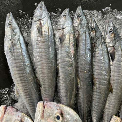 Cá thu dưới 2kg