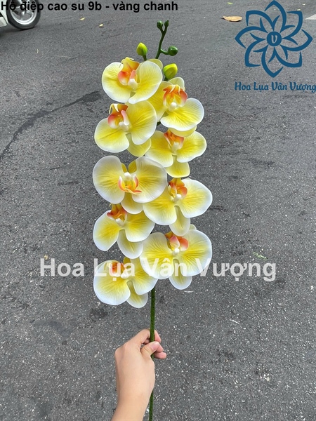 Hồ điệp cao su 9b - vàng chanh - Hồ điệp, lan - Hoa Lụa Vân Vượng