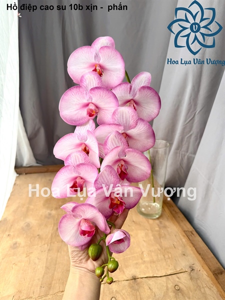 Hồ điệp cao su 10b xịn - phấn - Hồ điệp, lan - Hoa Lụa Vân Vượng