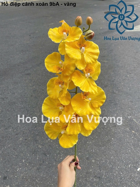 Hồ điệp cánh xoăn xịn 9b A - Vàng - Hồ điệp, lan - Hoa Lụa Vân Vượng