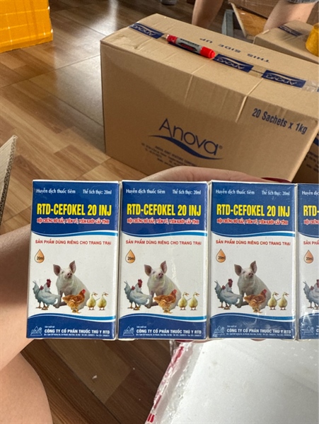 Cepoket 20ml RTD