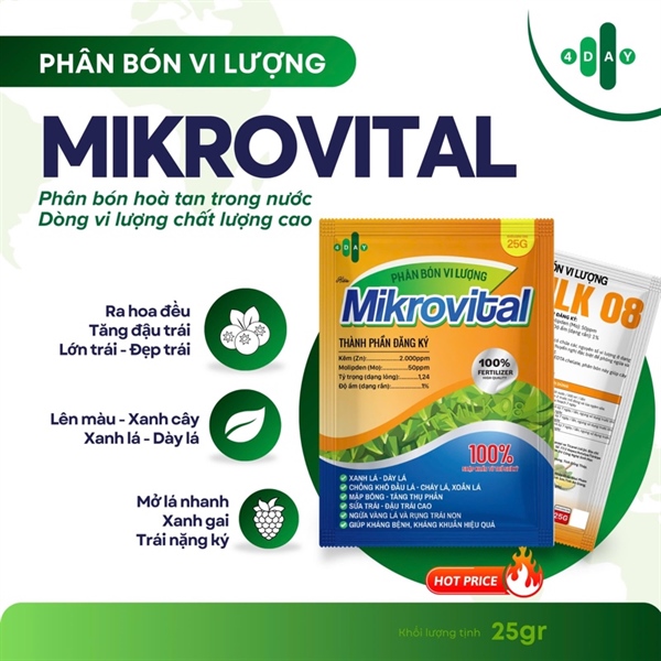 COMBO 10 GÓI MIKROVITAL_COMBI THỔ NHĨ KỸ
