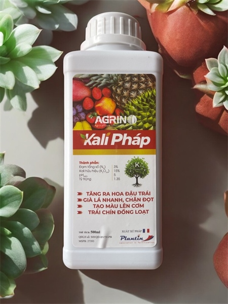 KALI PHÁP (AGRINO)